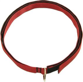 Петля анкерная First Ascent для крепления инструмента до 25 кг