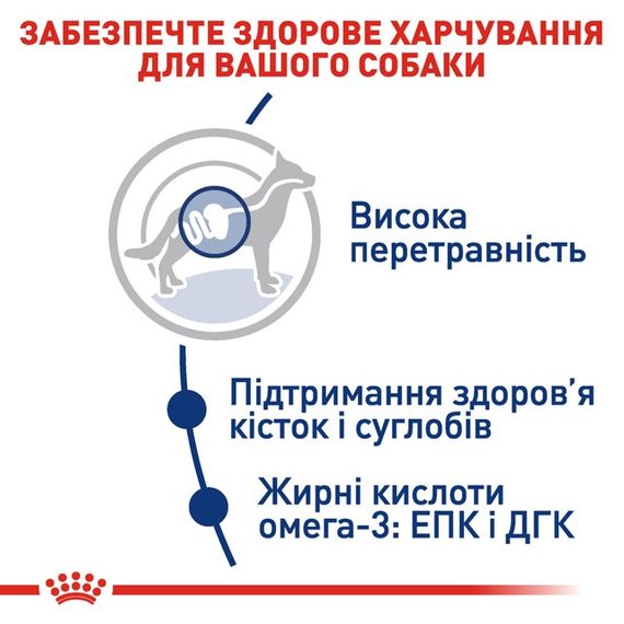 Корм Royal Canin Maxi Adult сухой для взрослых собак крупных пород 4 кг | Зображення 3