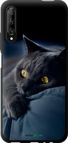 Чохол на Huawei P Smart Pro Димчастий кіт "825b-1906-2448"