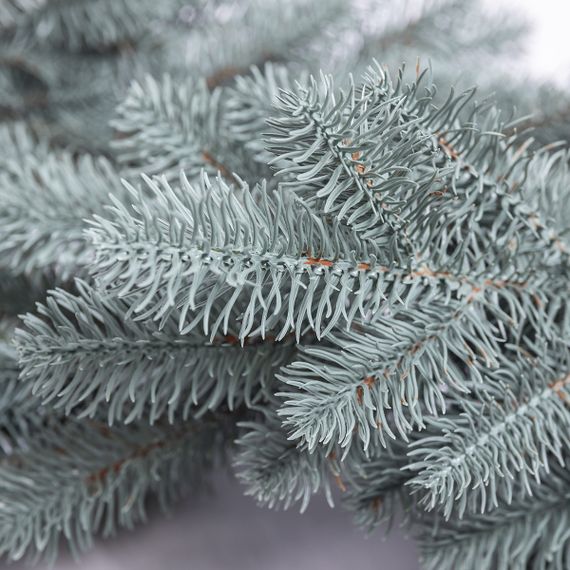 Штучна гірлянда Хвоя 2 м блакитна, новорічна гірлянда лита реалістична Преміум KOS-HVO2 | Зображення 4