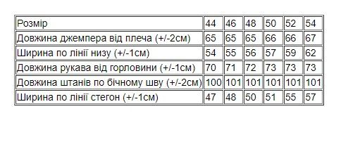 Костюм жіночий, 50 р Носи своє 50 Коричневий (p-9698-1-of) | Зображення 1