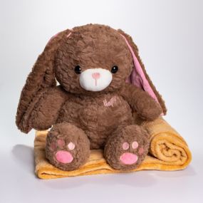 Мягкая игрушка-плед, подушка 3 в 1 Зайчик плед в игрушке 35×32×40 (см) детский плед игрушка Коричневый 509-9BR