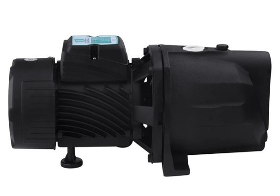 Насос поверхневий відцентровий Pumpman TJSW/10M Нmax 34 м Qmax 4,2 куб.м 0,75 кВт (CV029757) | Зображення 4