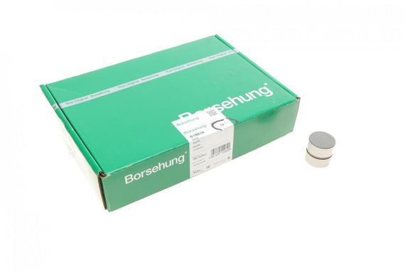 Гідрокомпенсатор VW Passat 1.8T 2.0 2.8 96-05 OE VAG  B18834