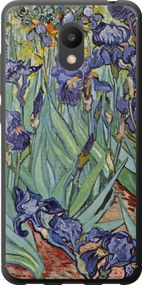 Чехол на Meizu M6 Винсент Ван Гог. Ирисы "161u-1349-17620"