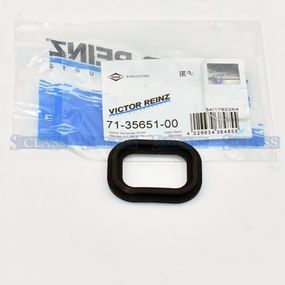 Прокладка впускного коллектора Fiat Brava/Bravo/Multipla 1.6 i 95-, Victor Reinz, 71-35651-00,