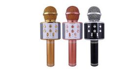 Караоке - мікрофон WS 858 microSD FM радіо Розово - золотий