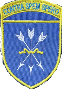 Шеврон 32 ОСБ