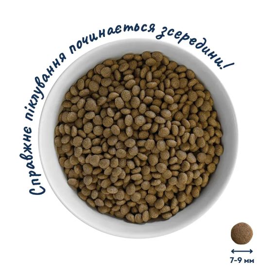Сухий корм HOME FOOD Healthy skin and shiny coat здорова шкіра та блиск шерсті для дорослих собак малих порід з індичкою та лососем, 700 г | Зображення 2