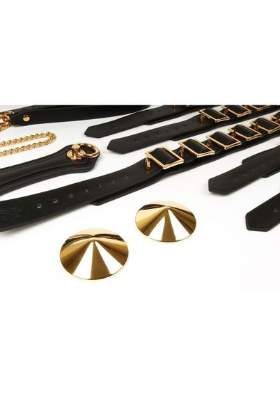 Шкаф-чемодан для БДСМ-аксессуаров TABOOM Desires Masterpiece Case, 11 предметов sexstyle | Зображення 8