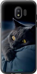 Чохол на Samsung Galaxy J2 2018 Димчастий кіт "825u-1351-2448"