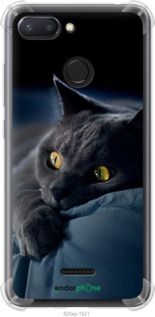 Чохол на Xiaomi Redmi 6 Димчастий кіт "825sp-1521-2448"
