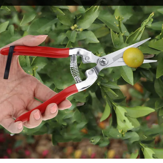 Секатор із хромовим покриттям лез HAONONGFU, садові ножиці для обрізання рослин і догляду за садом | Зображення 7