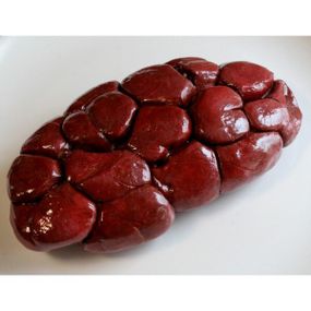 Муляж Нирки яловичі
