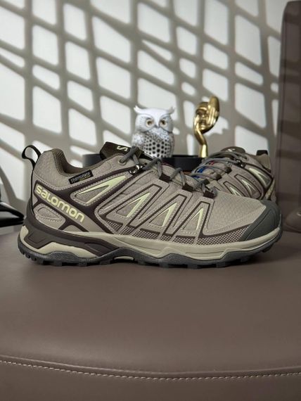 Кросівки чоловічі Salomon Speed Cross Pro GTX Thinsulate Beige Brown весна / осінь A4554