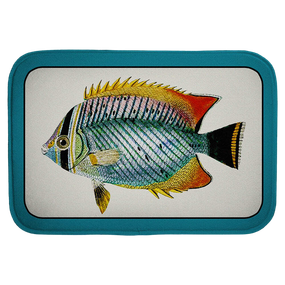 Килимок для ванної Рибка 58х38 см (VAN_24F027)