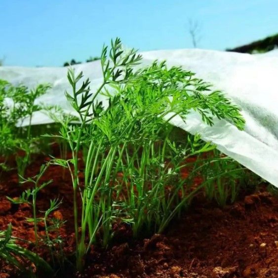 Агроволокно Shadow 30 г/м² 4,2 x 50 м АВБР000181 | Зображення 3