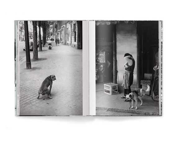 Работы известных фотографов книга Эллиотта Эрвитта с фотографиями собак Elliott Erwitt: Dogs (компактная) | Зображення 1