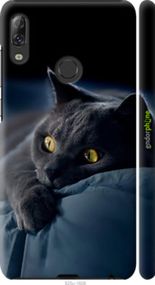 Чохол на Lenovo K5 Pro Димчастий кіт "825m-1608-2448"