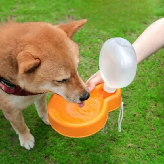 Поїлка складна кишенькова дорожня для тварин Помаранчева