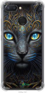 Чохол на Xiaomi Redmi 6 Кішка "5548sp-1521-2448"