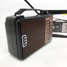 Радіоприймач am fm GOLON, Міні радіо, Ам приймач, Портативне FM радіо з флеш-накопичувачем GX-66