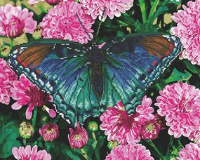 Метелик на жоржинах