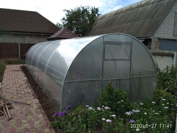 Теплица "СТАНДАРТ"3*4*2 (ш.д.в.) 12кв.м., покрытая поликарбонатом 3,5мм, от производителя. | Зображення 4