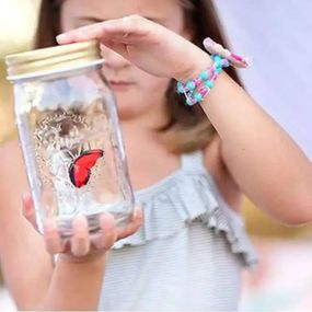 Нічник Метелик з підсвічуванням від батарейок Butterfly Collection Червоний