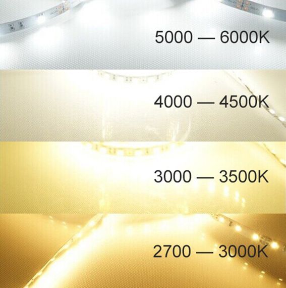 Світлодіодна LED стрічка PROLUM™ 12V; 2835\120; IP20; Series "SG", Нейтральний-Білий (3800-4300K) | Зображення 2