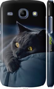 Чохол на Samsung Galaxy Core i8262 Димчастий кіт "825c-88-2448"