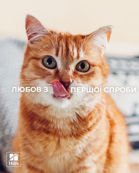 Cухий корм із лососем для котів із захворюваннями нирок Hill's PD Feline K/D, 400 гр | Зображення 2