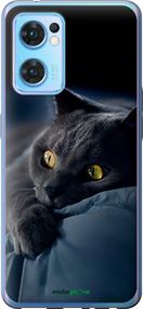 Чохол на Oppo Reno7 5G Димчастий кіт "825u-2669-2448"