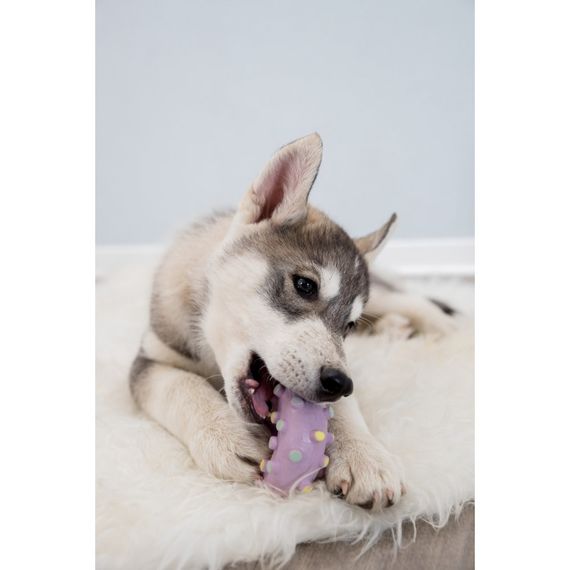 Іграшка Trixie для цуценят Кільце Junior латекс 8 см | Зображення 5