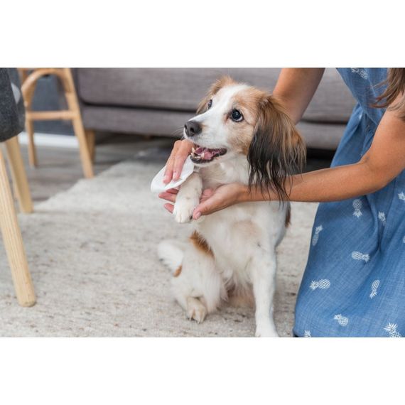 Серветки Trixie для очищення універсальні з алое пластикова банка 30 шт/уп | Зображення 3