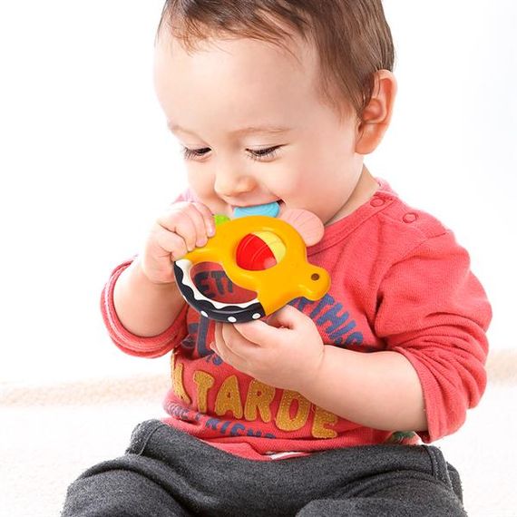 Набір брязкалець Hola Toys Динозаври, 5 шт. в коробці (1109) | Зображення 1