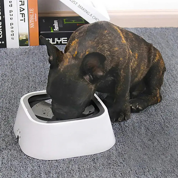 Універсальна миска-поїлка для собак і котів з міцного пластику з системою захисту від проливання і ковзання | Зображення 6