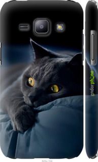 Чохол на Samsung Galaxy J1 J100H Димчастий кіт "825m-104-2448"