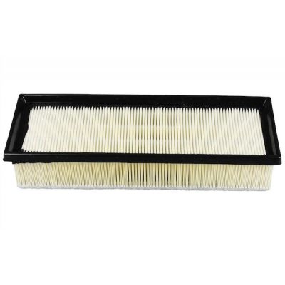 Воздушный фильтр для автомобиля Champion CAF100859P