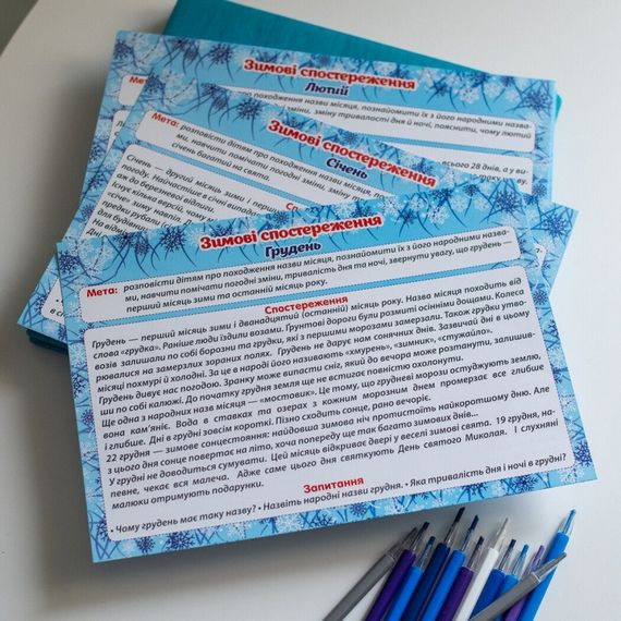 Дидактичний матеріал "Зимові спостереження" 13107147, 16 карток | Зображення 4