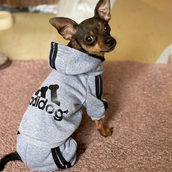 Костюм спортивний для собак Adidog Cірий S | Зображення 1
