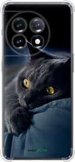 Чохол на OnePlus 11 Димчастий кіт "825sp-2940-2448"