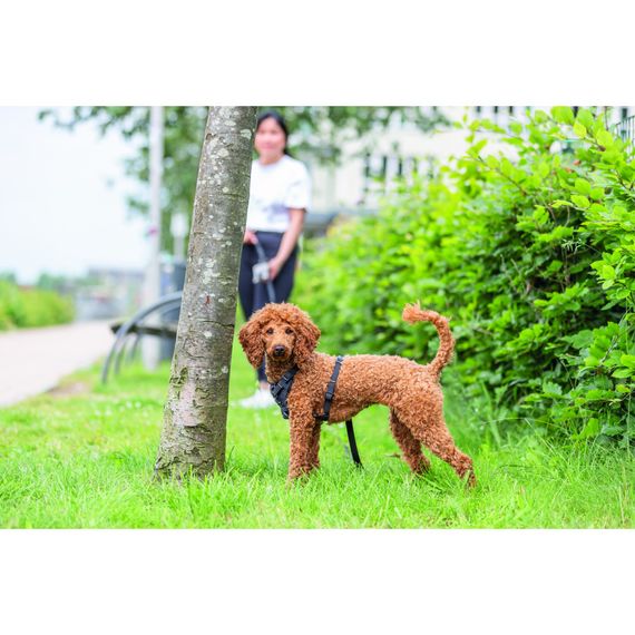 Шлея Trixie CityStyle H-harness для собак бавовна XS–S 30–44 см 10 мм чорна | Зображення 2