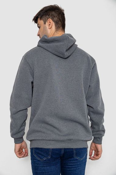 Кофта мужская на флисе с капюшоном 244R2563, цвет Серый | Зображення 3