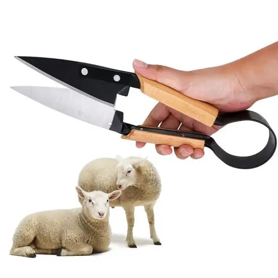 Ножиці для стрижки тварин, гострі сталеві леза для стрижки шерсті овець і собак | Зображення 1