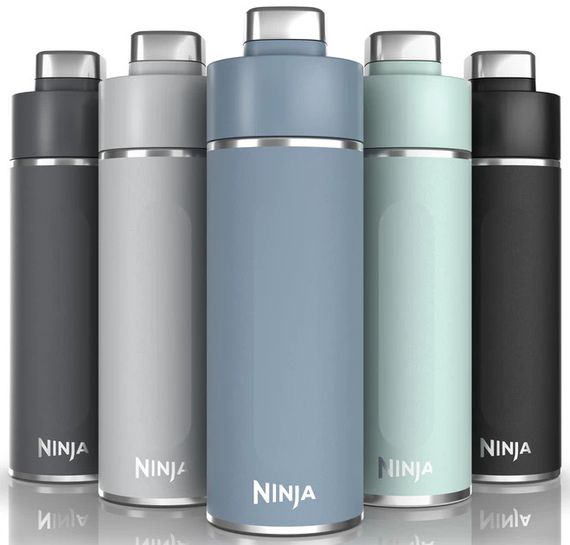 Термопляшка Ninja Thirsti DW2401EUUKGY 700 мл сіра | Зображення 1