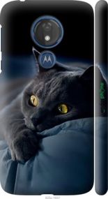 Чохол на Motorola Moto G7 Power Димчастий кіт "825m-1657-2448"