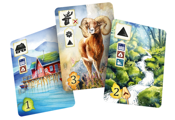 Настільна гра Meadow: Downstream (Левада: За течією) | Зображення 4