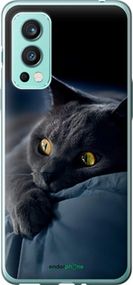 Чохол на OnePlus Nord 2 Димчастий кіт "825u-2468-2448"