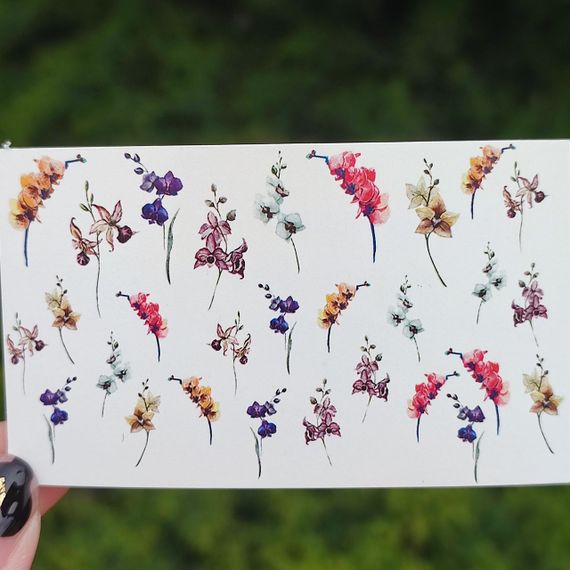 Слайдер F-10 на водяній основі (5x8см)